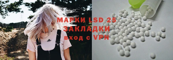 хмурый Абаза