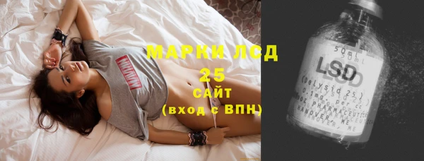 хмурый Абаза