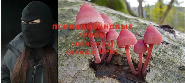 прущая мука Ростов