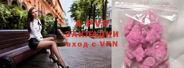 хмурый Абаза