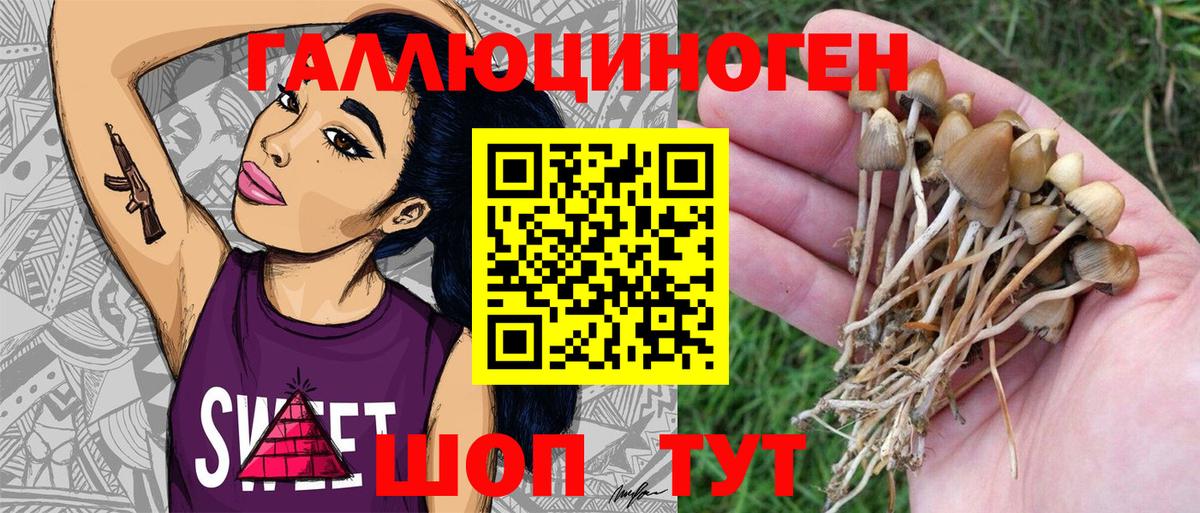 Костомукша  Галлюциногенные грибы MAGIC MUSHROOMS  Вход с VPN  Псилоцибиновые грибы MAGIC MUSHROOMS 